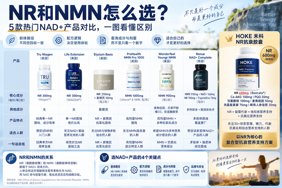 NR、NMN、多前体，哪种NAD+产品更适合普通人？以HOKE NR为例