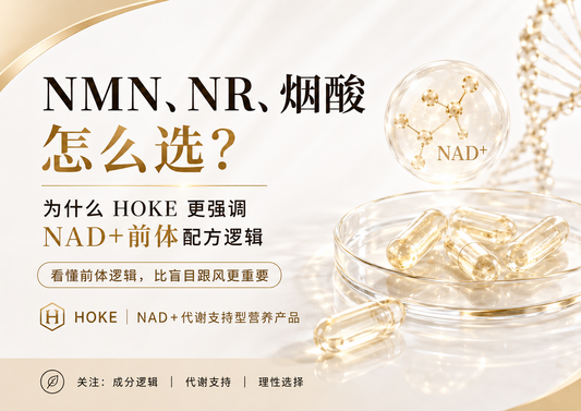 NMN、NR、烟酸怎么选？为什么HOKE更强调NAD+前体配方逻辑