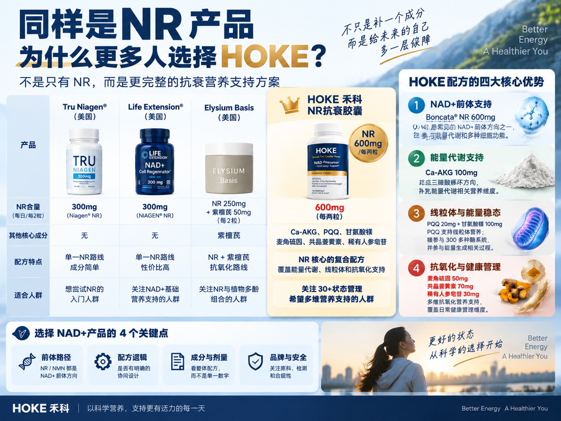 从成分结构看HOKE NR：为什么它不只是“又一个NR产品”