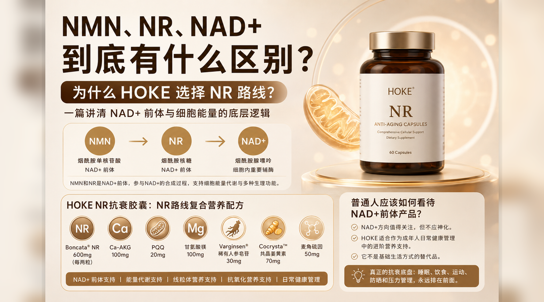 NMN和NAD+是什么关系？为什么HOKE选择NR作为NAD+前体
